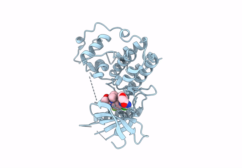 9PE8 image
