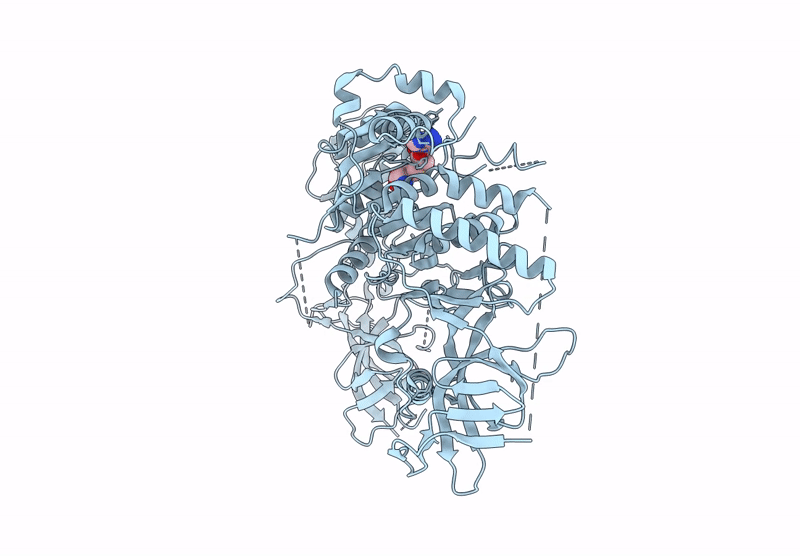 9PEC image