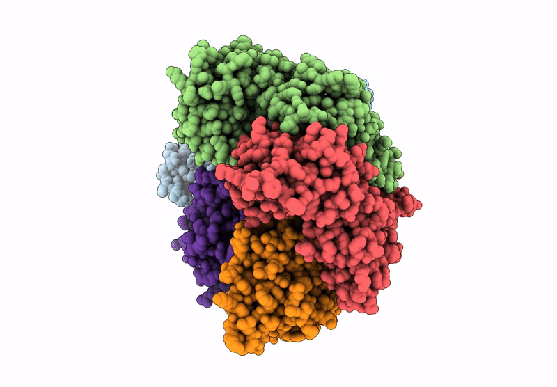 9PEV image