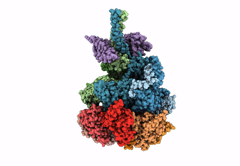 9PF1 image