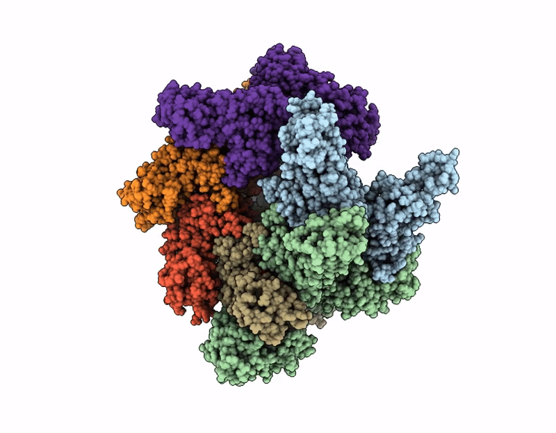 9PF2 image