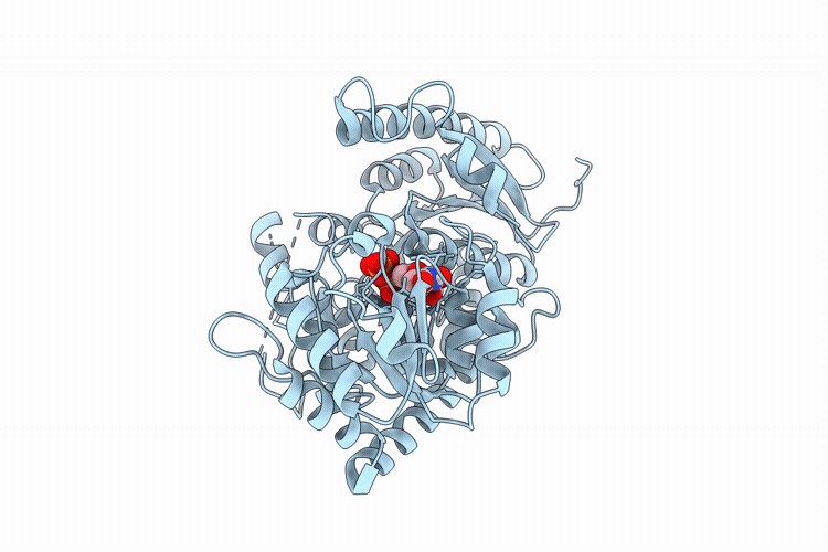 9PF3 image