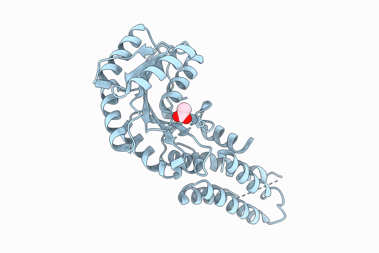9PF4 image