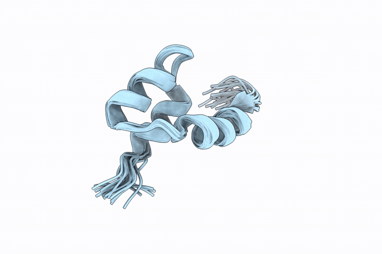 9PFE image