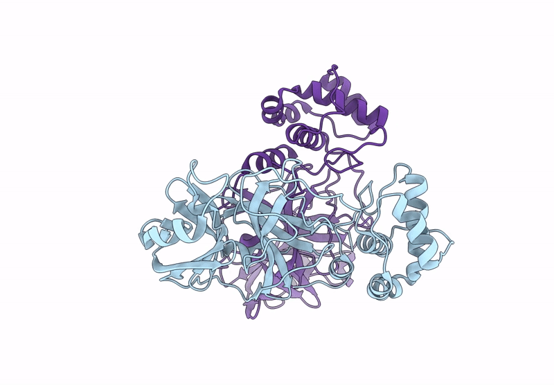 9PFI image