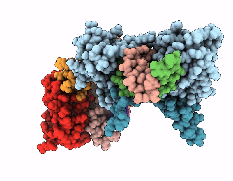 9PFN image