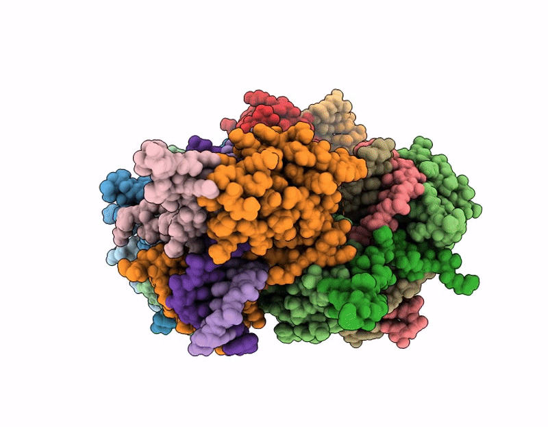 9PFO image
