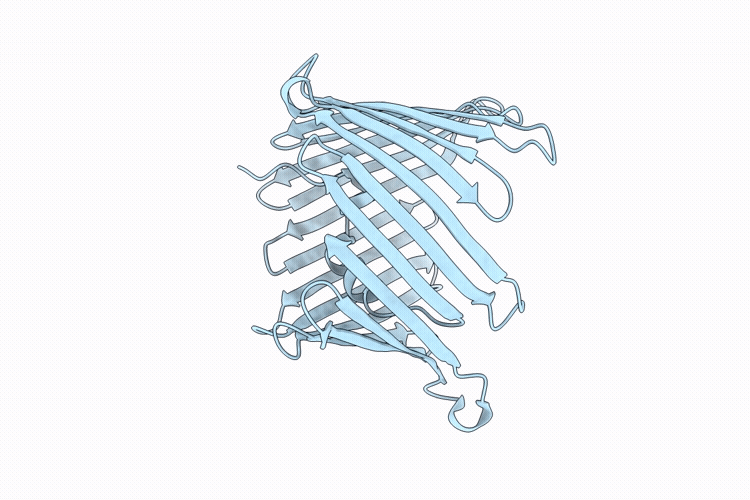 9PFZ image