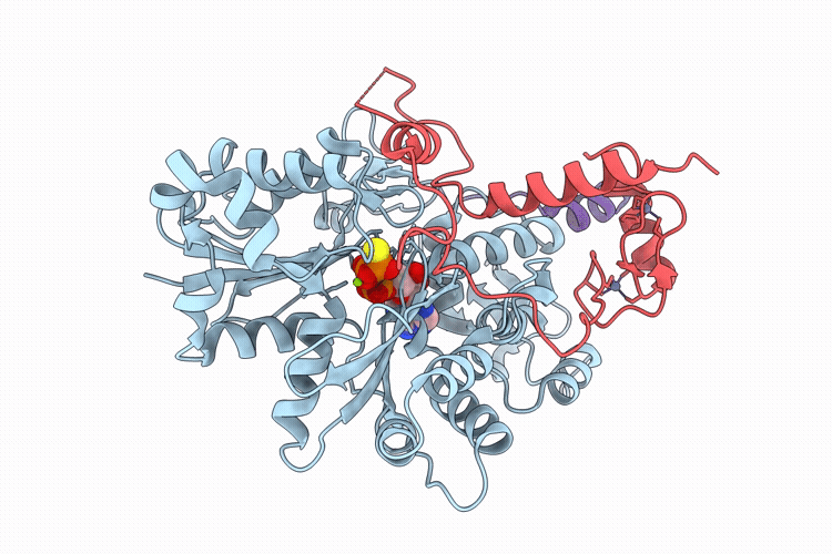 9PGD image