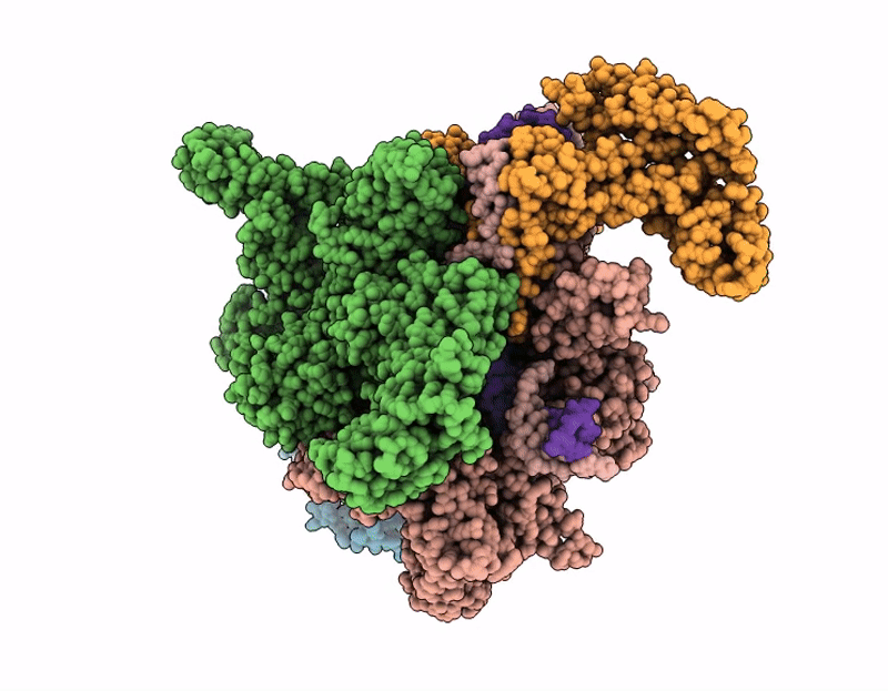 9PGH image