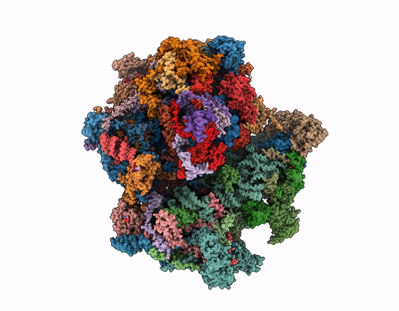 9PGM image