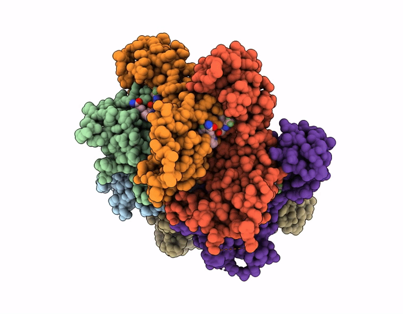 9PGU image