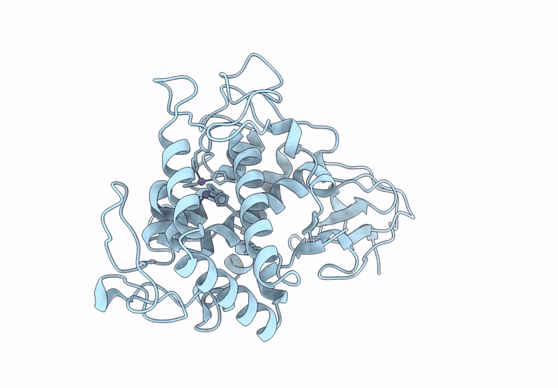 9PGZ image