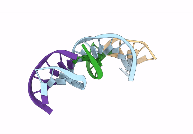 9PHI image