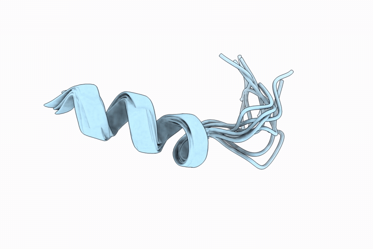 9PHJ image