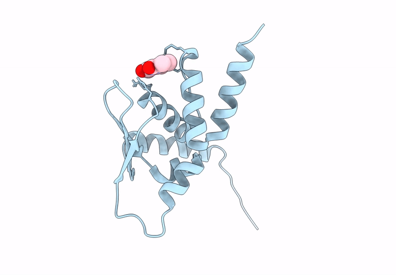 9PHR image
