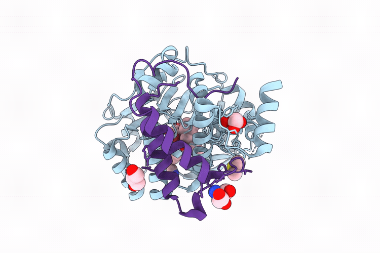 9PHV image