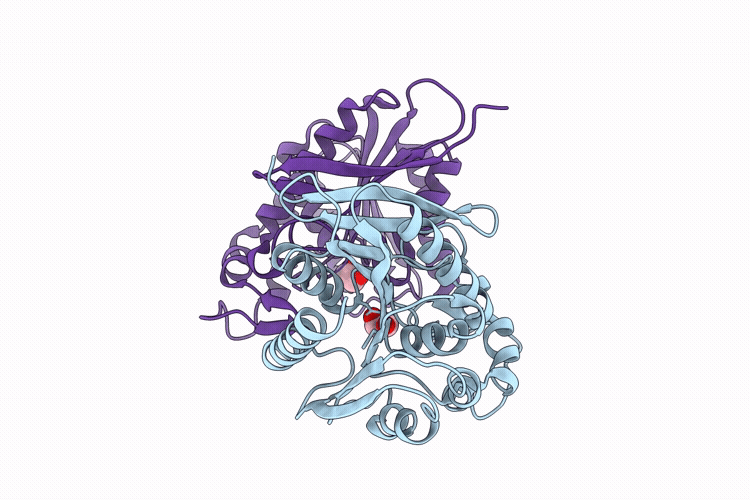 9PID image
