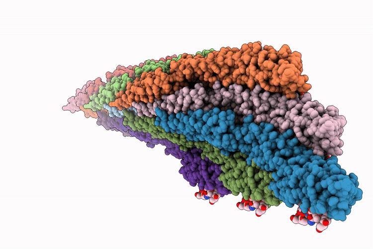 9PIL image