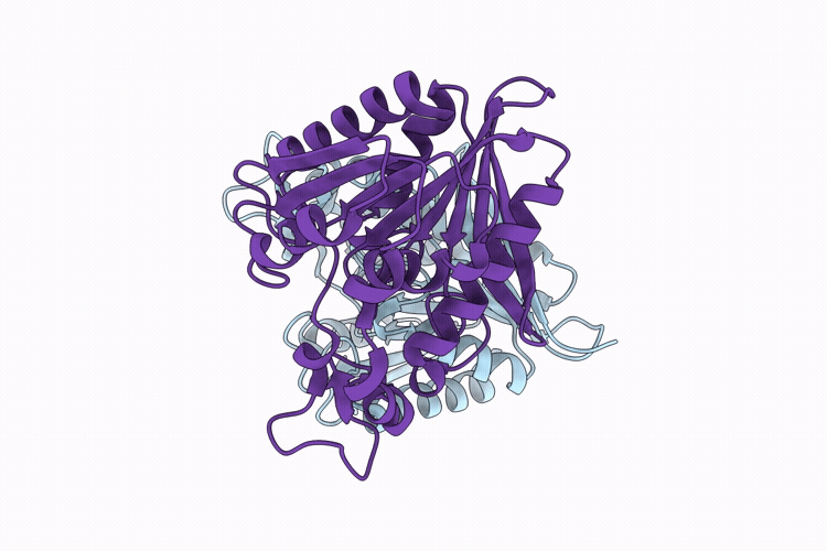 9PIR image