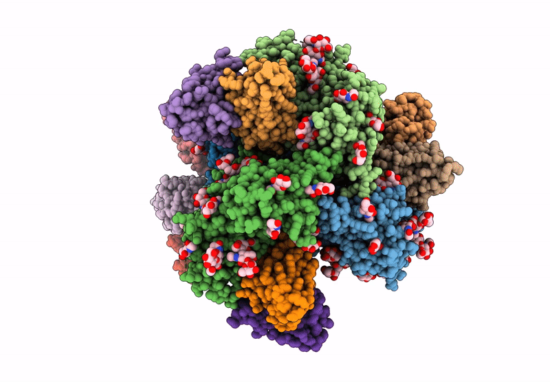 9PIV image
