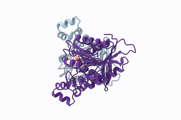 9PJB image