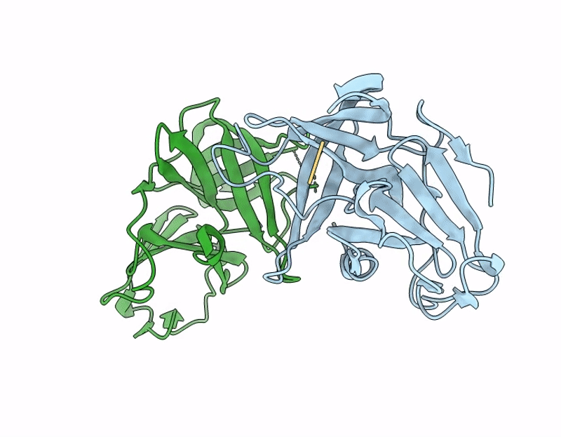 9PJF image