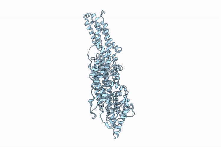 9PKH image