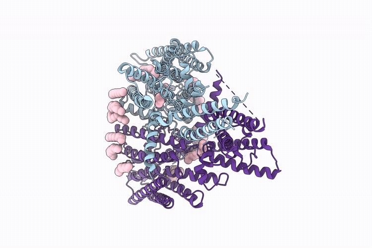 9PKP image
