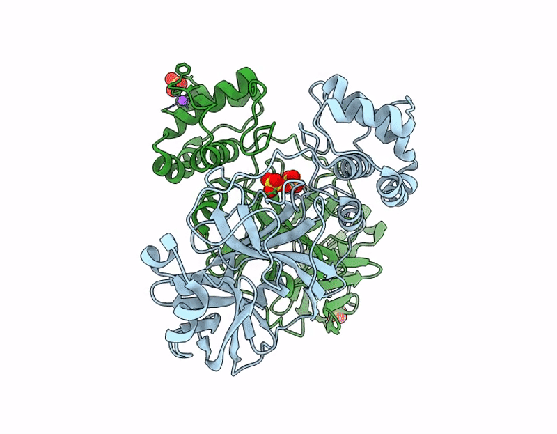 9PKR image