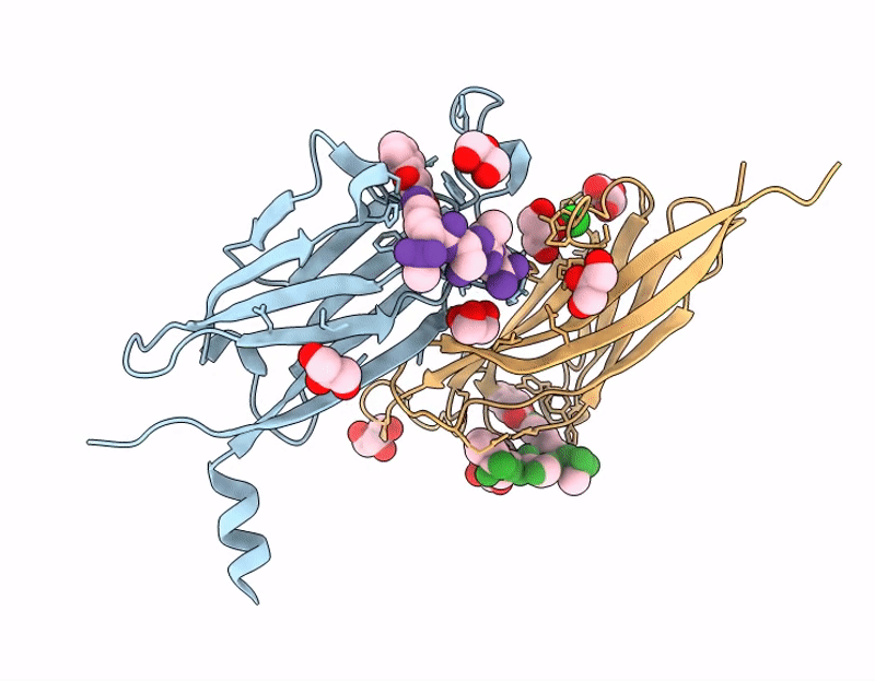 9PKU image