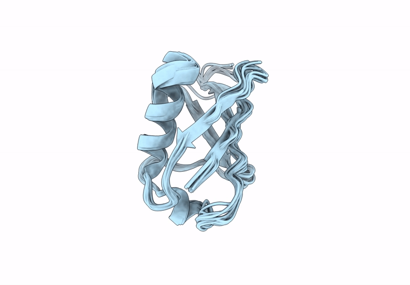 9PL1 image