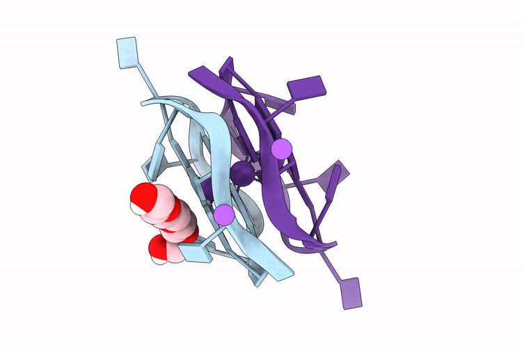9PLB image