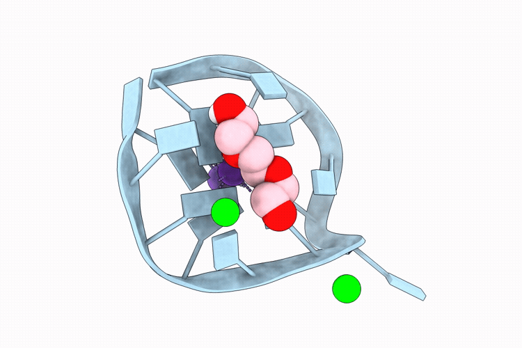 9PLC image