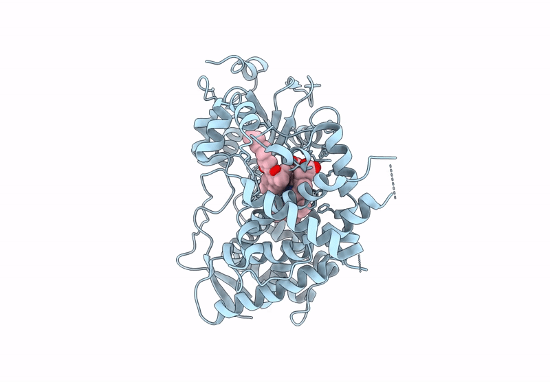 9PLJ image