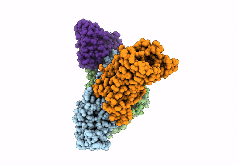 9PLO image