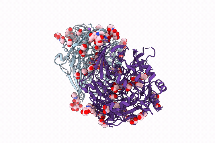 9PLV image