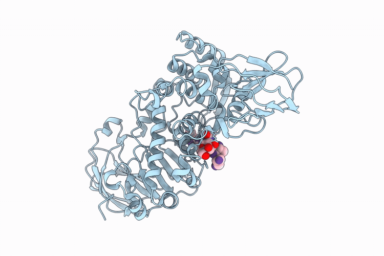 9PLW image
