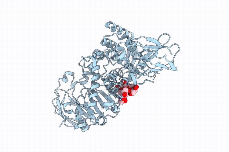 9PLX image