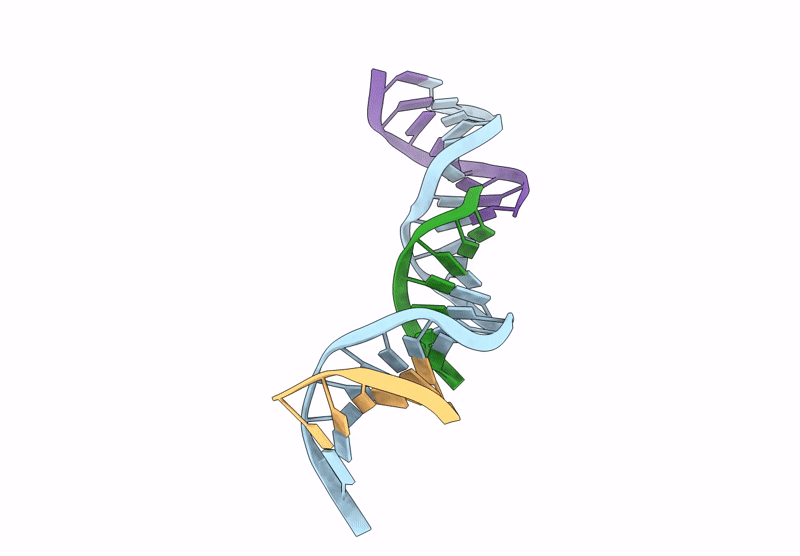 9PMG image