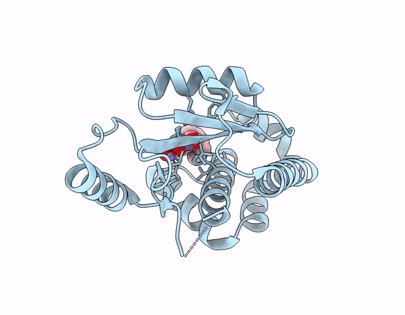 9PMR image