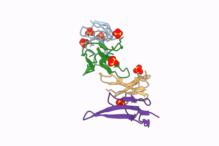 9PN4 image