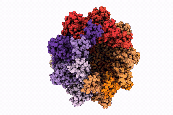 9PNA image