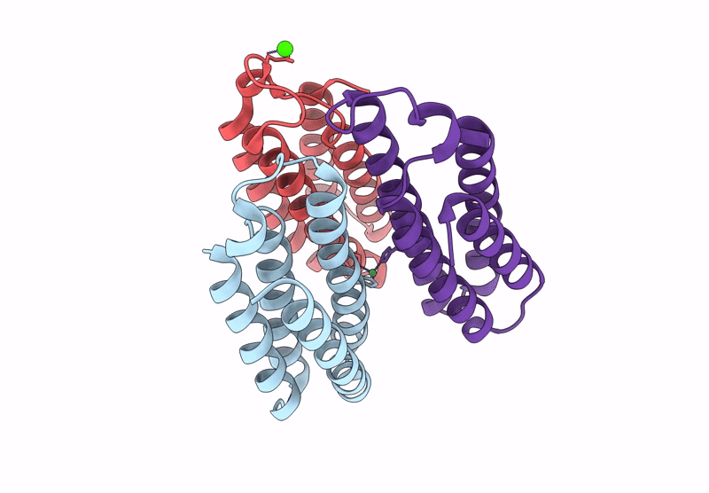 9PNH image