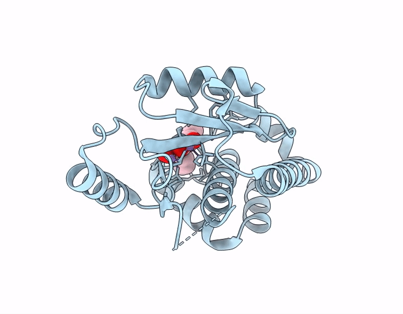 9PNL image