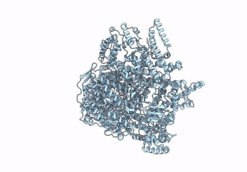 9PNR image