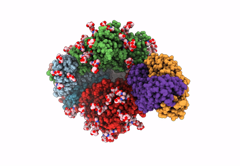 9PNU image