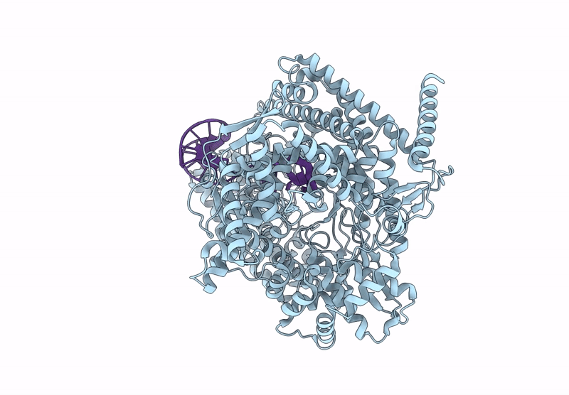 9PNV image
