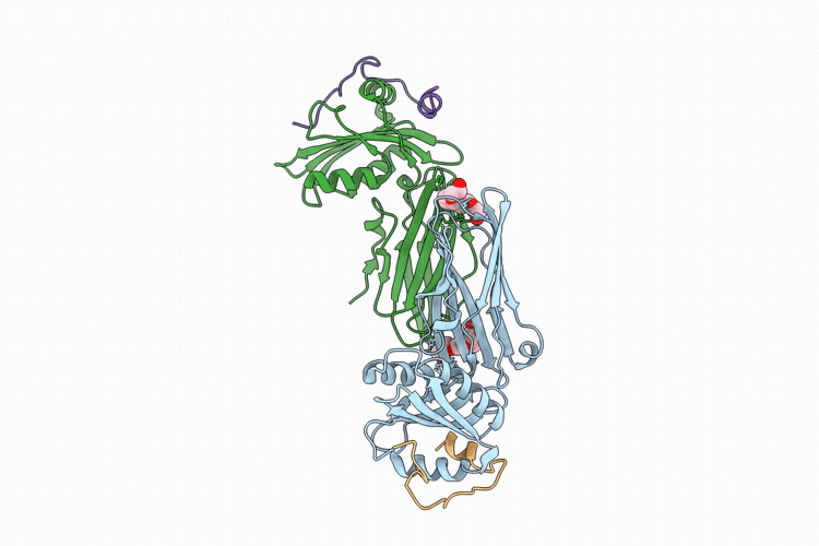 9ppp image