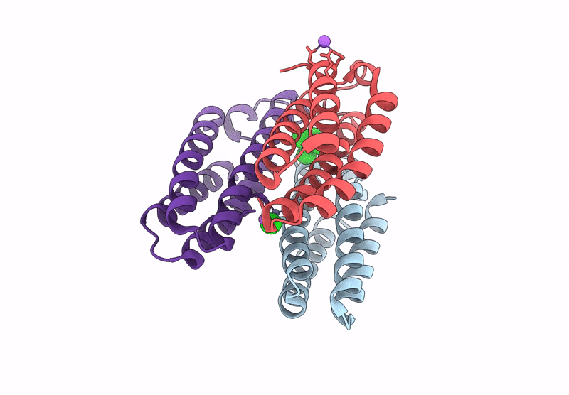 9PPR image